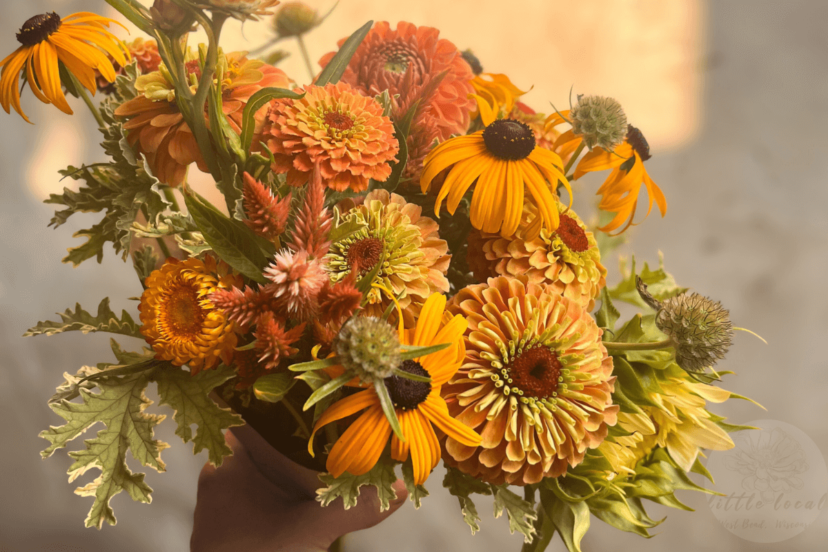 golden flowers in a bouquet against beige textured wall
